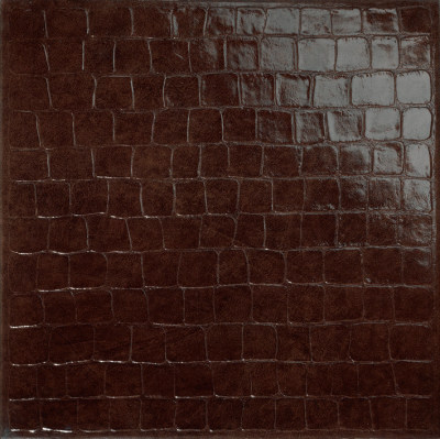 柔和面咖啡鳄鱼纹